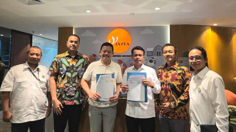 WhatsApp Image 2025-12-19 at 18.24.51