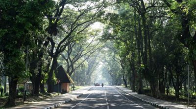 WhatsApp Image 2025-12-27 at 09.25.28