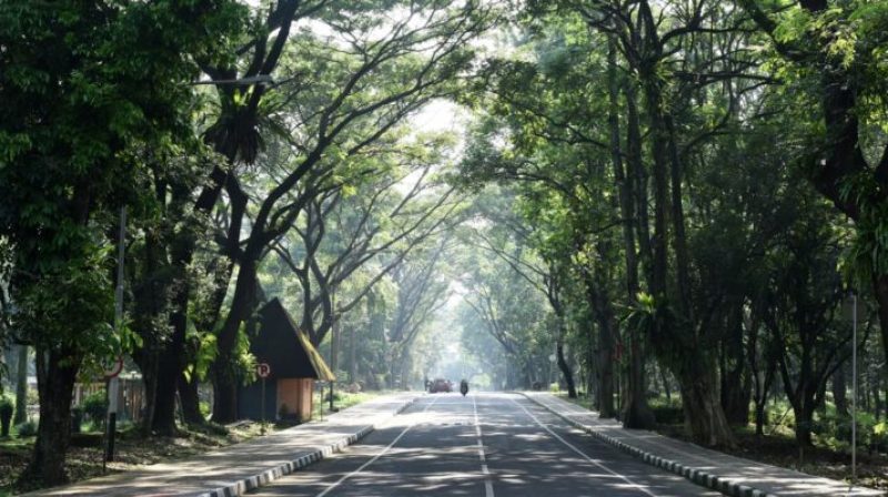 WhatsApp Image 2025-12-27 at 09.25.28