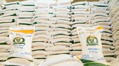 WhatsApp Image 2026-01-05 at 15.21.30