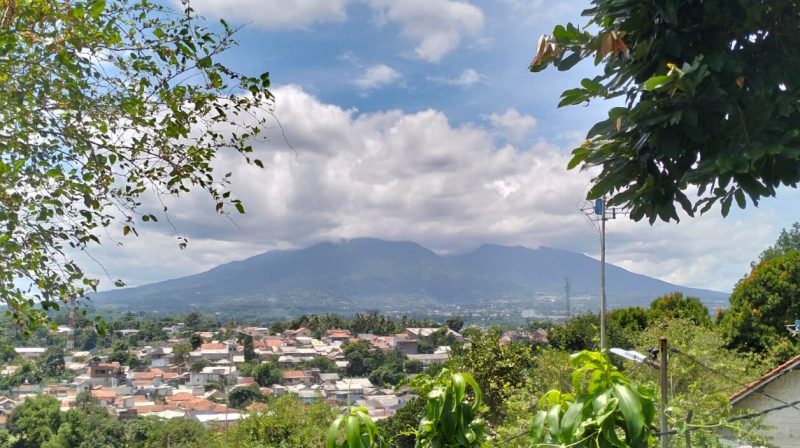 WhatsApp Image 2026-01-08 at 17.39.40