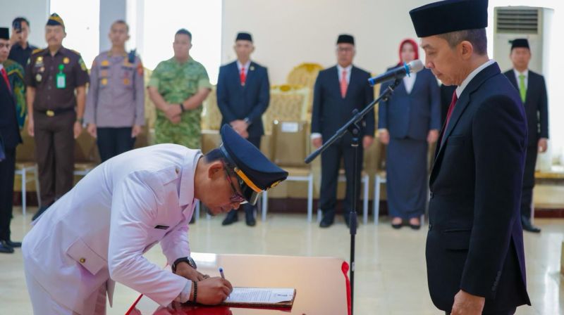 WhatsApp Image 2026-01-15 at 21.15.38