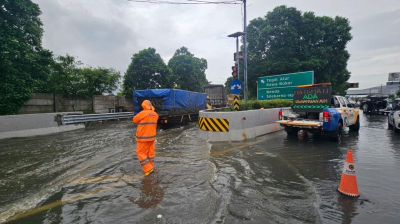 WhatsApp Image 2026-01-18 at 12.08.51