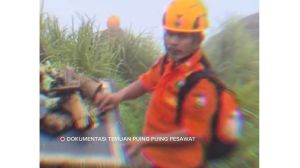 WhatsApp Image 2026-01-18 at 14.02.10