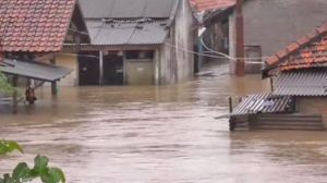 WhatsApp Image 2026-01-19 at 11.53.41