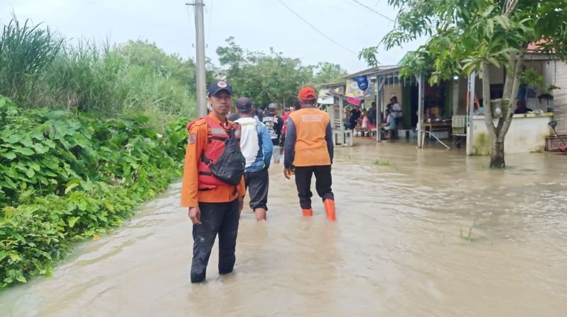 WhatsApp Image 2026-01-20 at 12.19.21