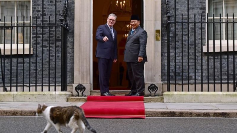 WhatsApp Image 2026-01-21 at 11.09.15