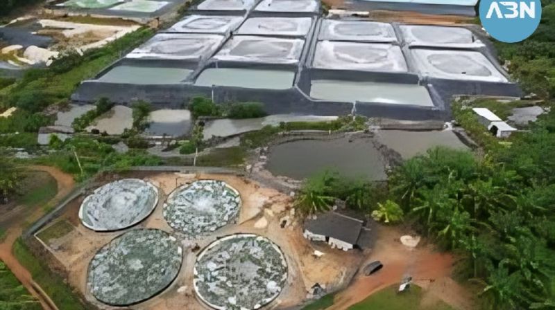 WhatsApp Image 2026-01-22 at 10.13.35