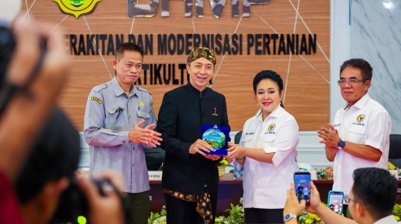 WhatsApp Image 2026-01-23 at 09.12.01