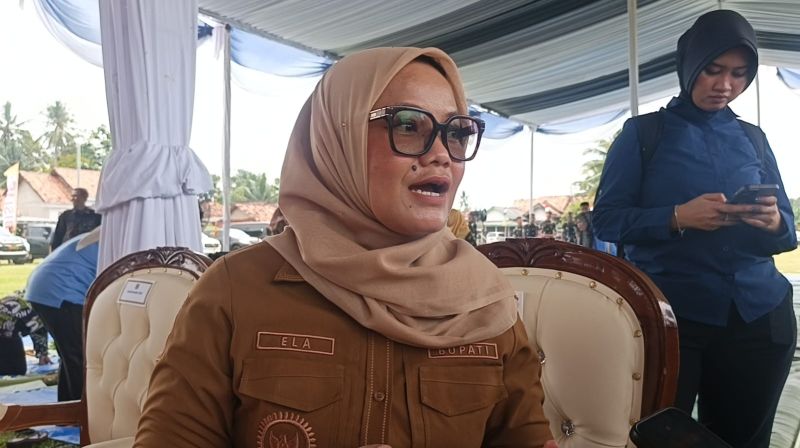 WhatsApp Image 2026-01-23 at 14.50.27