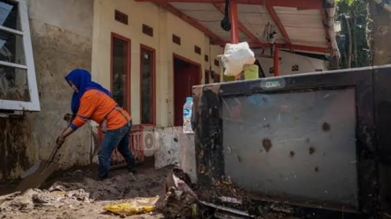 WhatsApp Image 2026-01-25 at 15.55.14