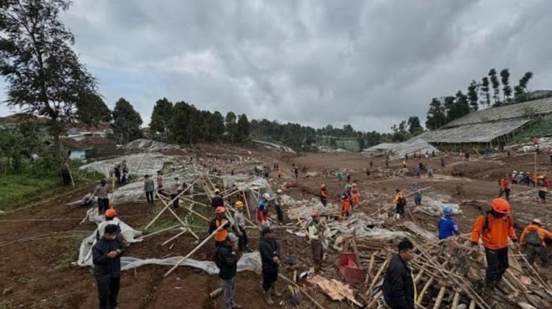 WhatsApp Image 2026-01-27 at 13.26.31