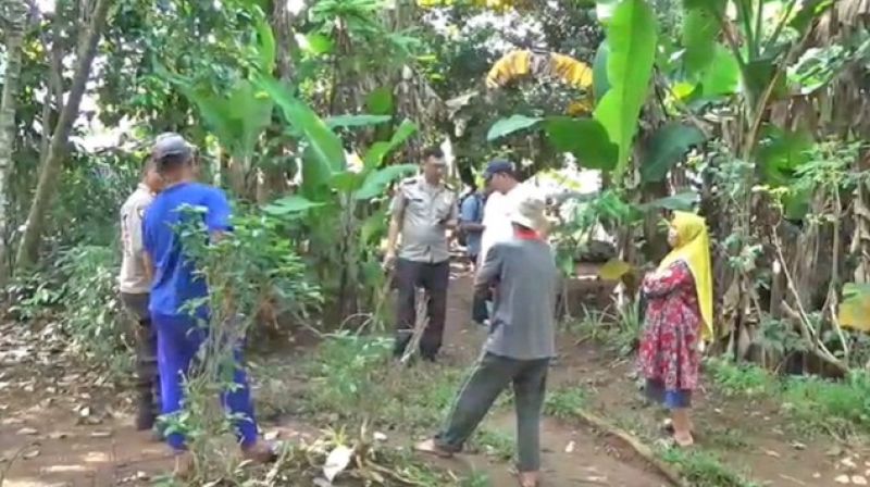 WhatsApp Image 2026-01-27 at 17.03.14