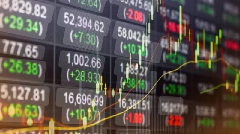 WhatsApp Image 2026-01-31 at 00.18.40