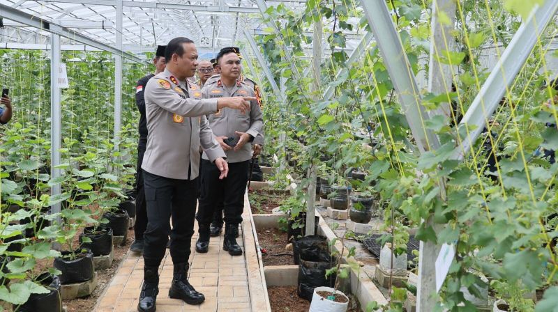 WhatsApp Image 2026-02-06 at 17.11.40