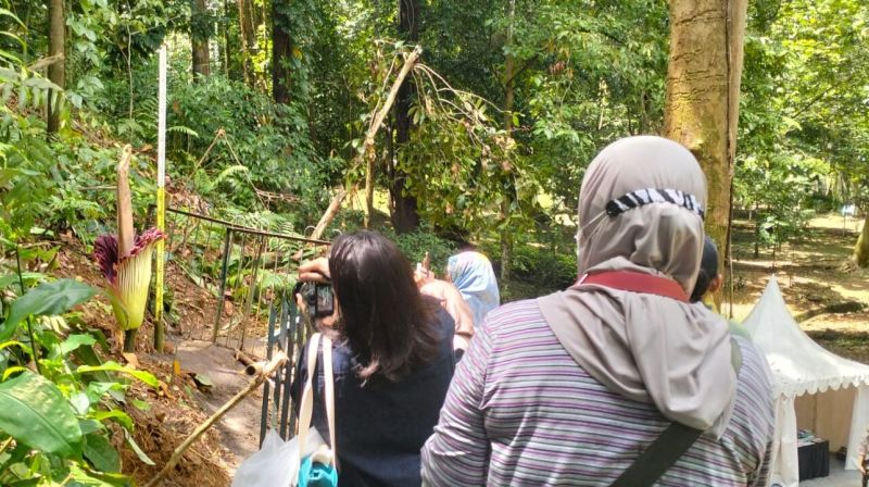 WhatsApp Image 2026-02-06 at 17.23.00